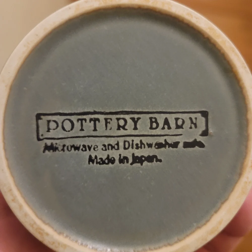 Pottery Barn Bongo Green Mug
